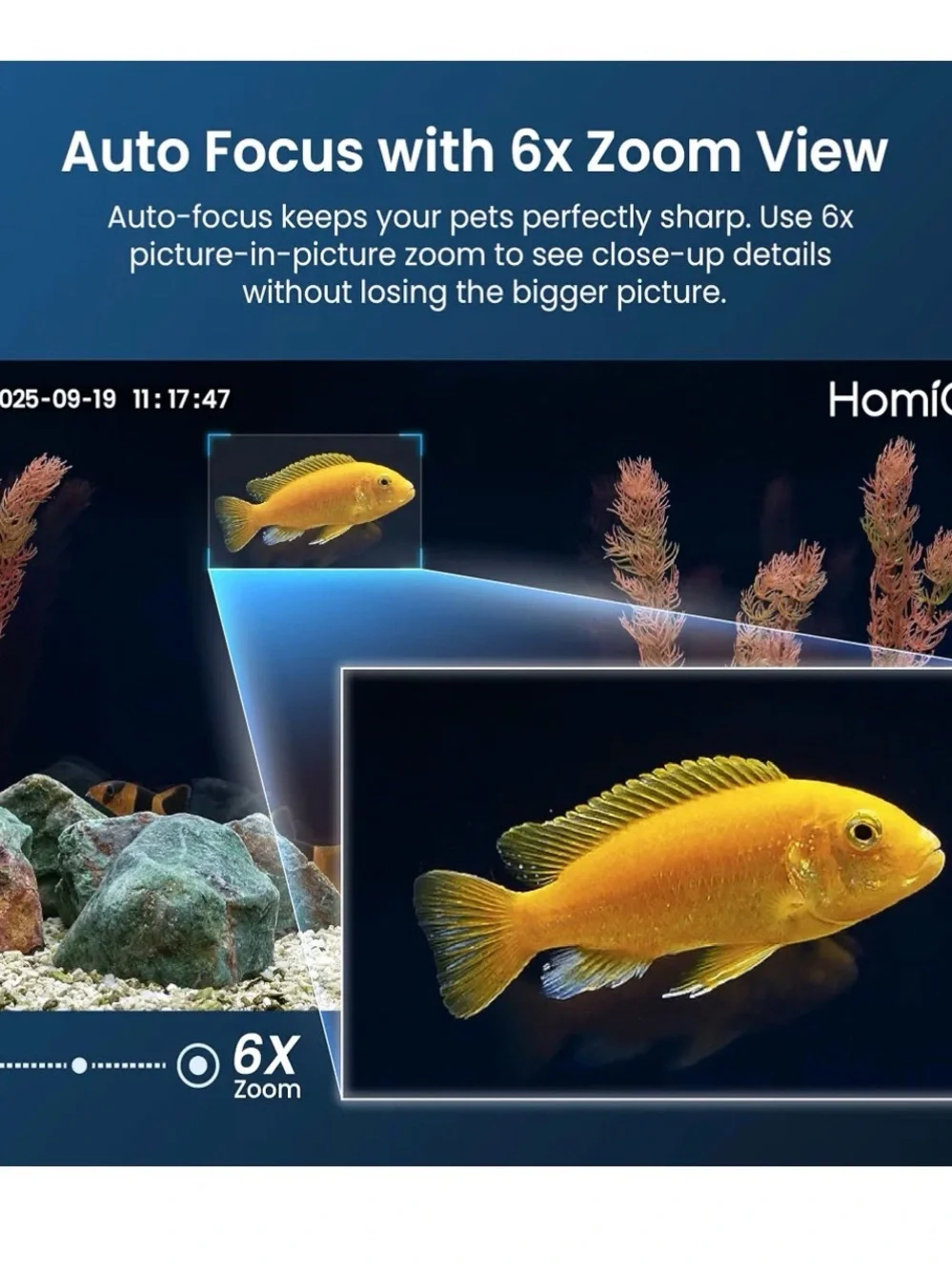 3MP 2K Aquarium & Terrarium Pet Camera